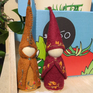Autumn gnomes