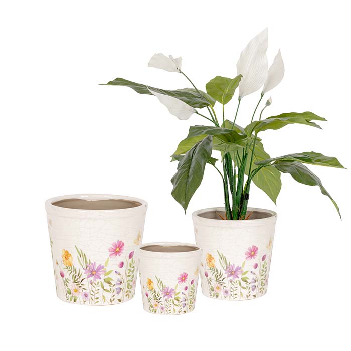 Florals of the Wild Pots