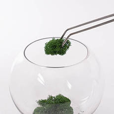 Terrarium tool set