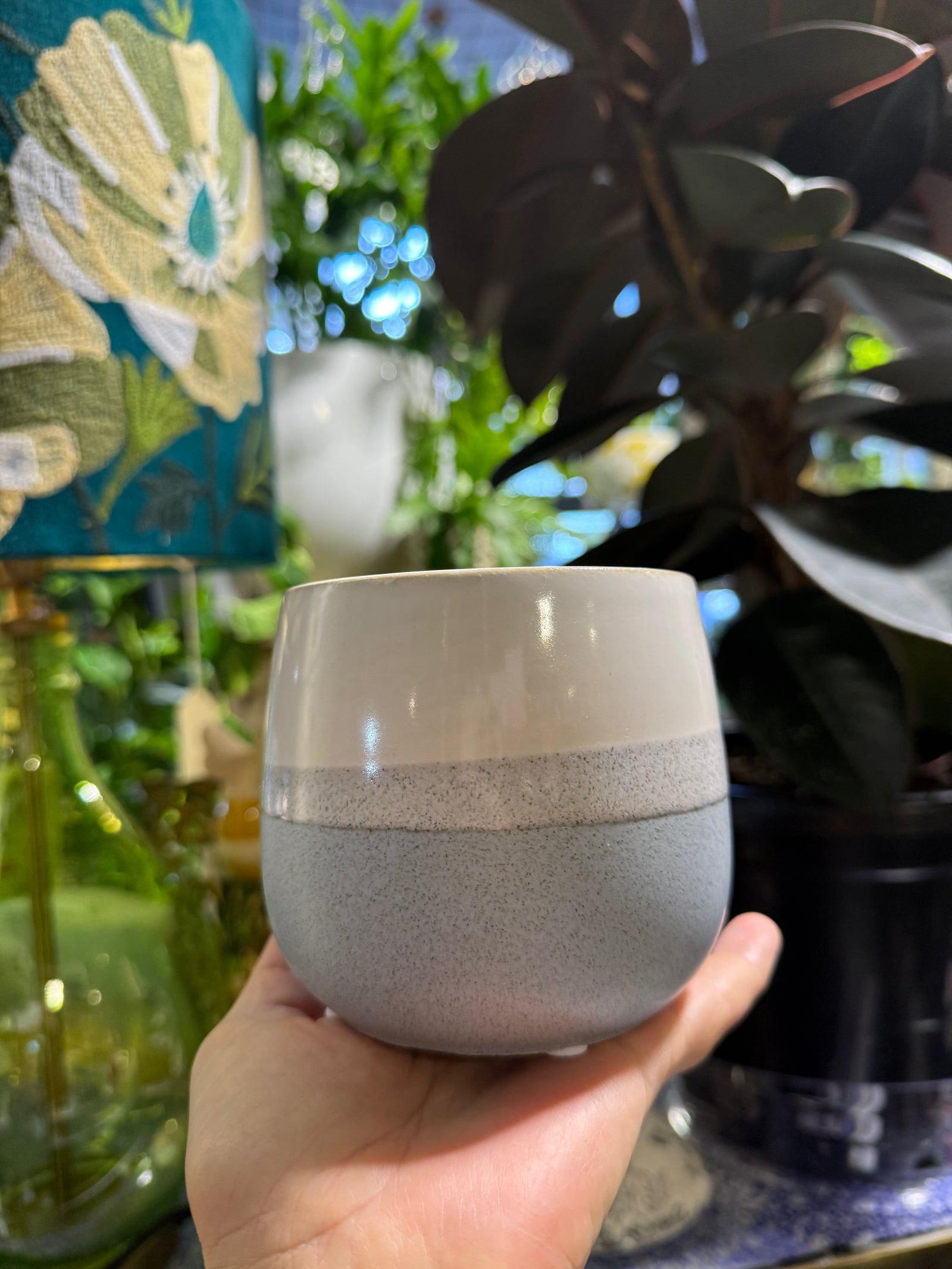 Salt and Pepper Pot