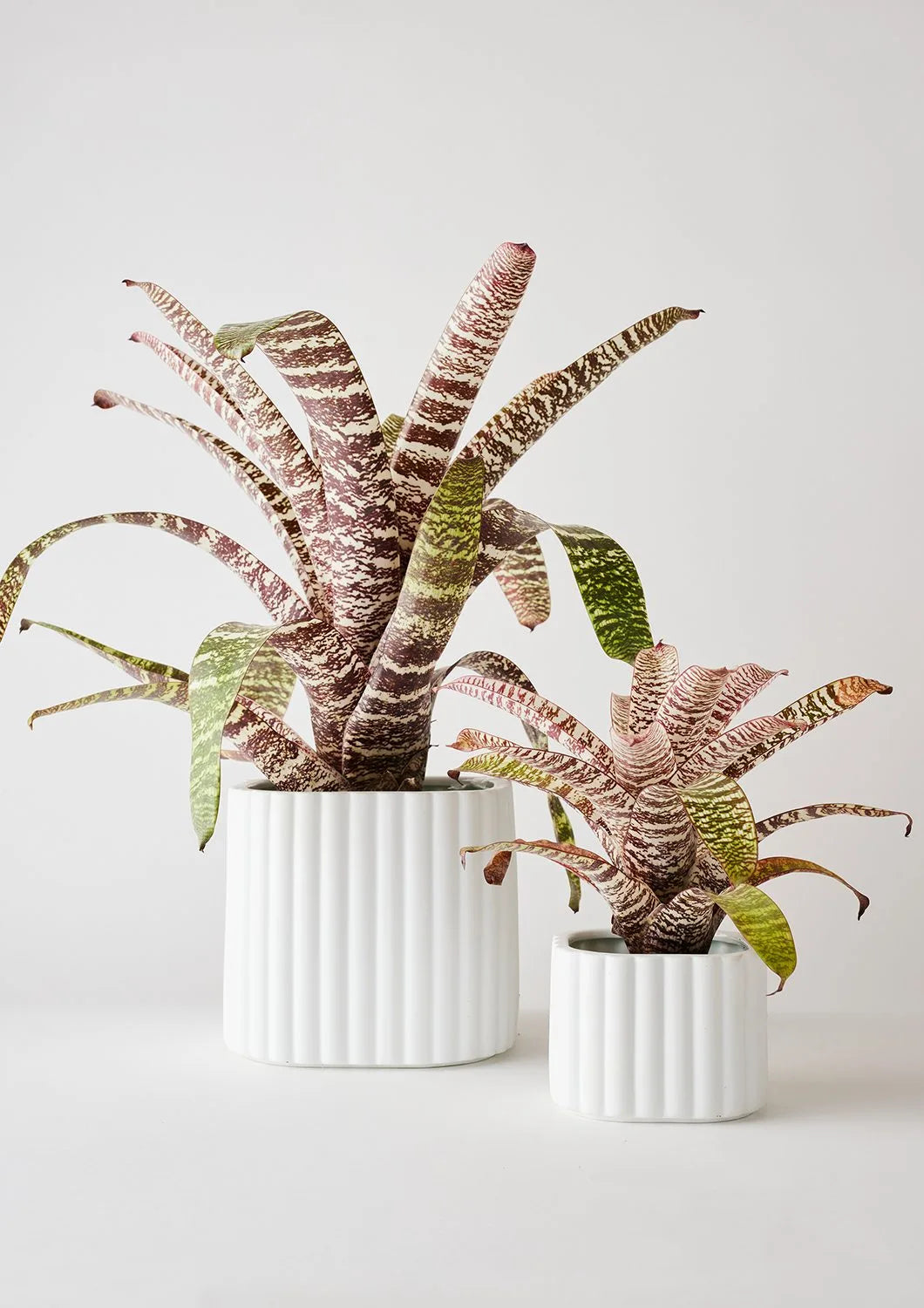 Angus & Celeste Modular Stack Pots