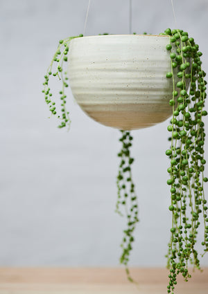 Spherical Hanging Planter - Angus & Celeste