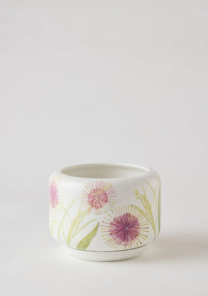 Angus & Celeste Succulent Pot