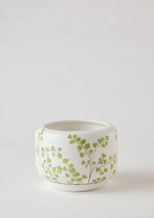 Angus & Celeste Succulent Pot