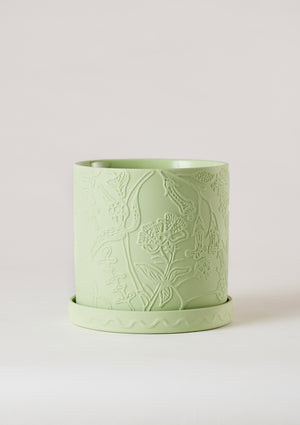 Callista Plant Pot  - Angus & Celeste