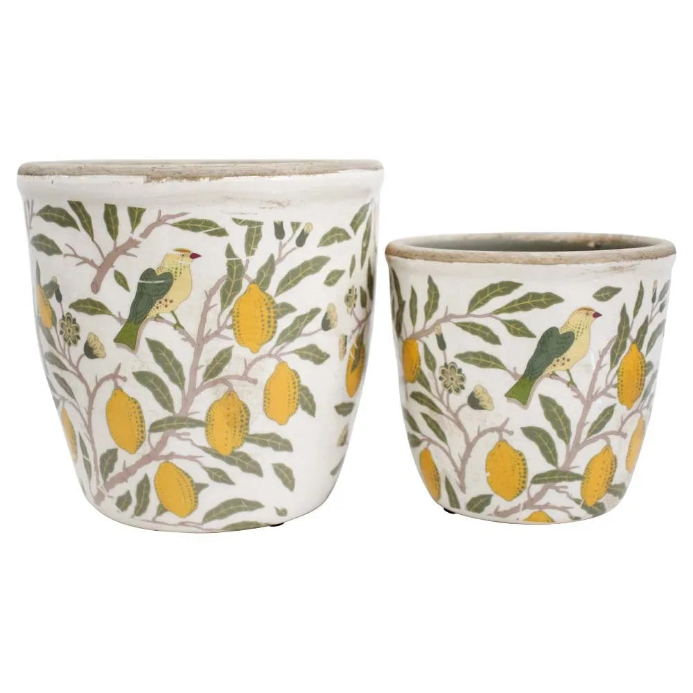 Vintage Lemon Pots