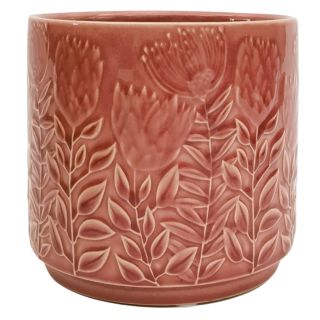 Pellea Protea pot