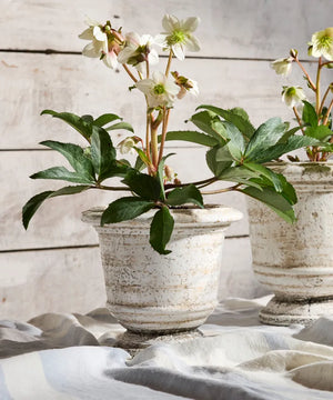 Lyon French Table Urn