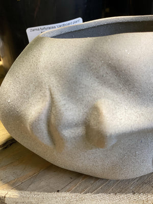 Sleeping beauty pot - Artisans Garden Nursery